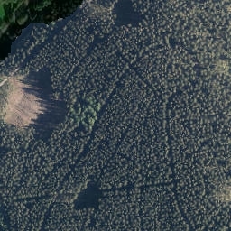 Satellite imagery of Schürle, DE