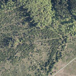 Satellite imagery of Burg, DE