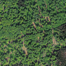 Satellite imagery of Sauklippe, DE