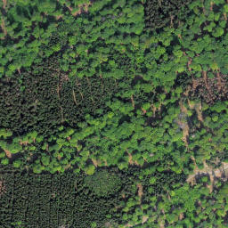 Satellite imagery of Kleine Steinritsche, DE