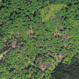 Satellite imagery of Kleine Steinritsche, DE
