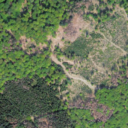 Satellite imagery of Kleine Steinritsche, DE