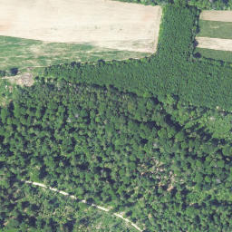 Satellite imagery of Sandberg, DE