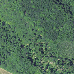 Satellite imagery of Iberg, DE