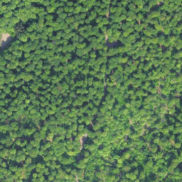 Satellite imagery of Kaltebaum, DE