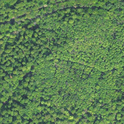 Satellite imagery of Kaltebaum, DE