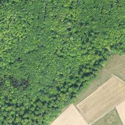 Satellite imagery of Kaltebaum, DE