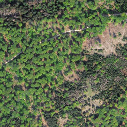 Satellite imagery of Sauklippe, DE