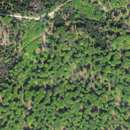 Satellite imagery of Kleine Steinritsche, DE