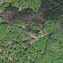 Satellite imagery of Kleine Steinritsche, DE
