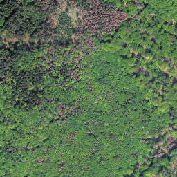 Satellite imagery of Kleine Steinritsche, DE