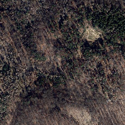 Satellite imagery of Schlierberg, DE