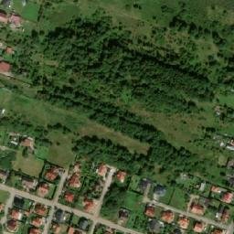Satelita