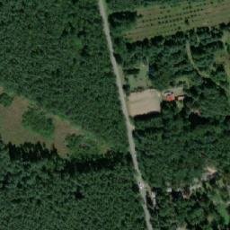 Satelita