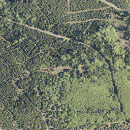 Satellite imagery of Strauch, DE