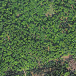 Satellite imagery of Hunsrück, DE