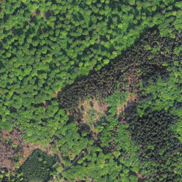 Satellite imagery of Kellerwald, DE