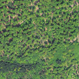 Satellite imagery of Sauklippe, DE