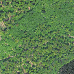 Satellite imagery of Große Steinritsche, DE