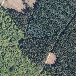 Satellite imagery of Hoher Wald, DE