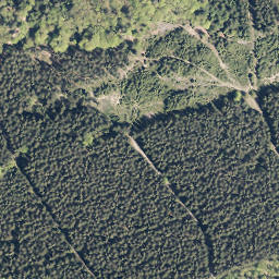 Satellite imagery of Hoher Wald, DE