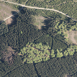 Satellite imagery of Strauch, DE
