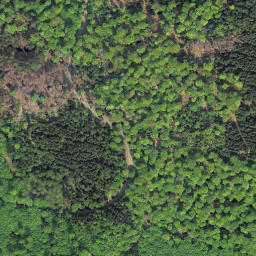 Satellite imagery of Hunsrück, DE