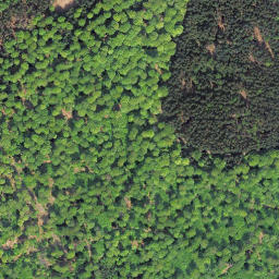 Satellite imagery of Kellerwald, DE