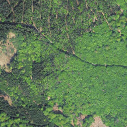 Satellite imagery of Große Steinritsche, DE