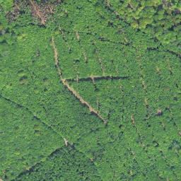 Satellite imagery of Große Steinritsche, DE