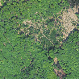 Satellite imagery of Große Steinritsche, DE