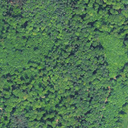 Satellite imagery of Hohenbühl, DE