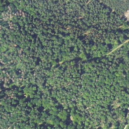Satellite imagery of Kirchberg, DE