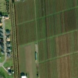 Satellite imagery of survey_point, CZ