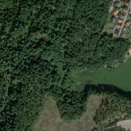 Satelita