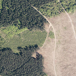 Satellite imagery of Hoher Wald, DE