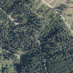 Satellite imagery of Albaumer Höhe, DE