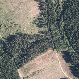 Satellite imagery of Albaumer Höhe, DE