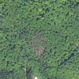 Satellite imagery of Fernmeldeturm Hohes Lohr, DE