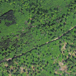 Satellite imagery of Hunsrück, DE