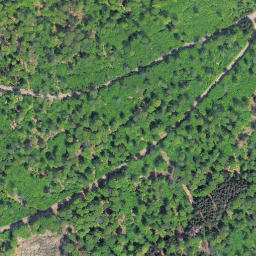 Satellite imagery of Kellerwald, DE