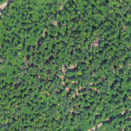 Satellite imagery of Kellerwald, DE