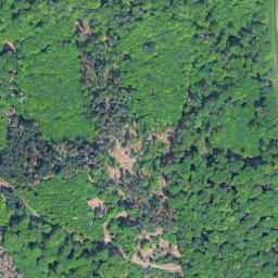 Satellite imagery of Hohenbühl, DE