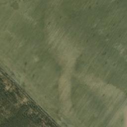 Satelita