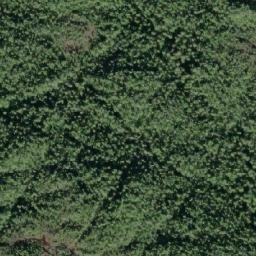 Satellite imagery of Allison Cone, CA