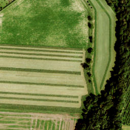 Satellite imagery of Grenspaal 117 (NL), NL