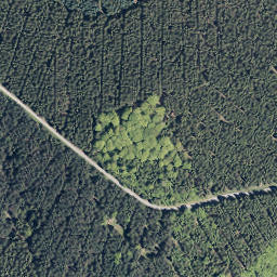 Satellite imagery of Hoher Wald, DE