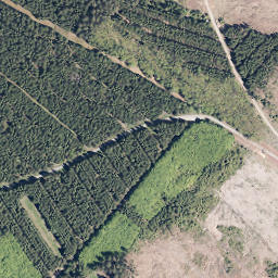 Satellite imagery of Hoher Wald, DE