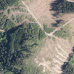 Satellite imagery of Albaumer Höhe, DE
