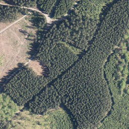 Satellite imagery of Albaumer Höhe, DE
